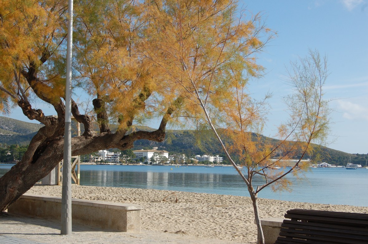 Glorious winter day in Port de Pollenca