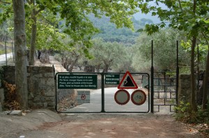 Not so much a 'jump' as a clamber.