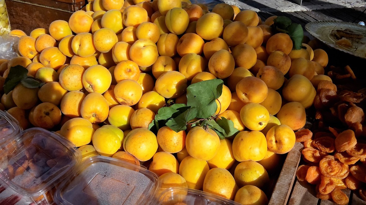 Apricots from Mallorca
