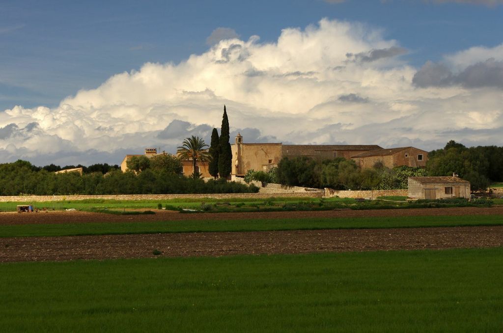 Aubocassa, near Manacor
