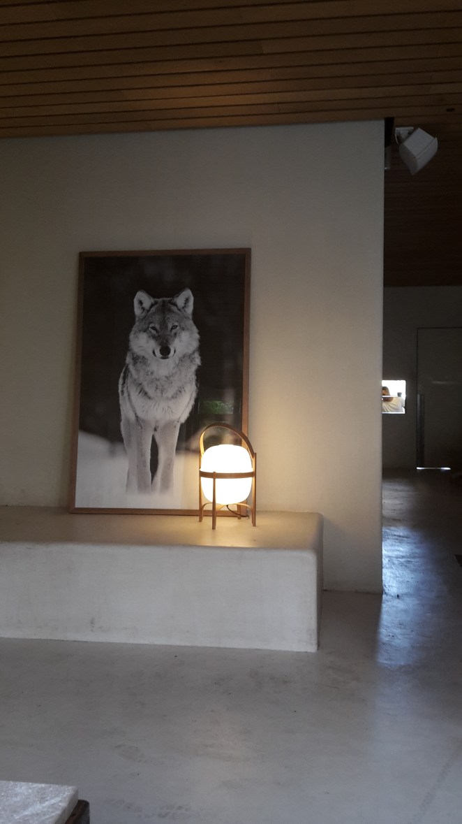 Wolf photograph at Spot