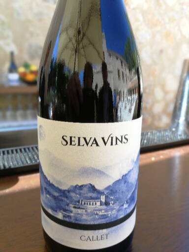 Selva Vins