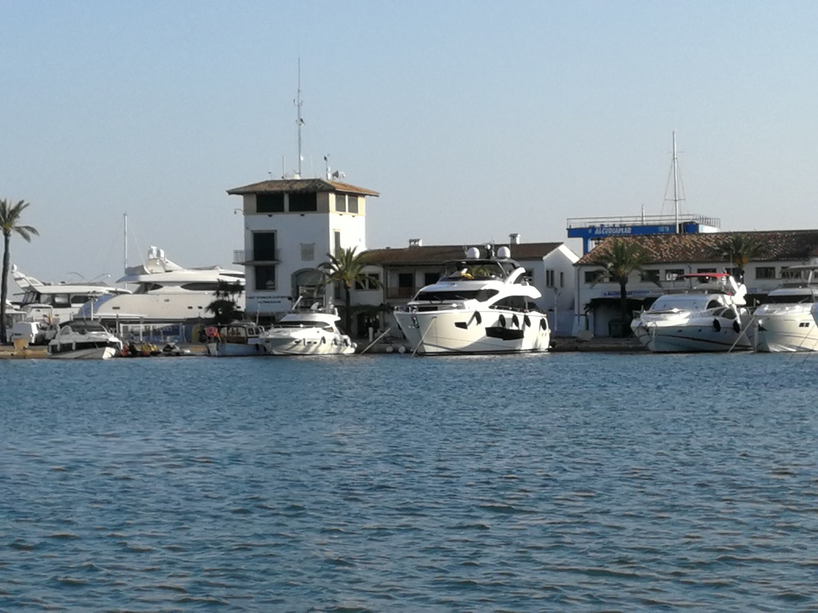 Alcudia's port