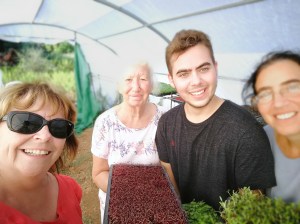 Els Ullastres Mallorca