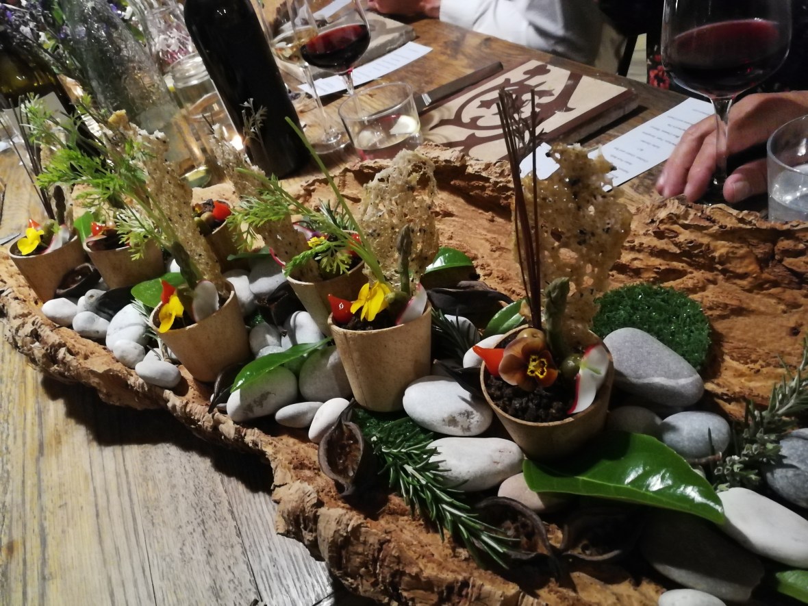 An edible Soller Garden