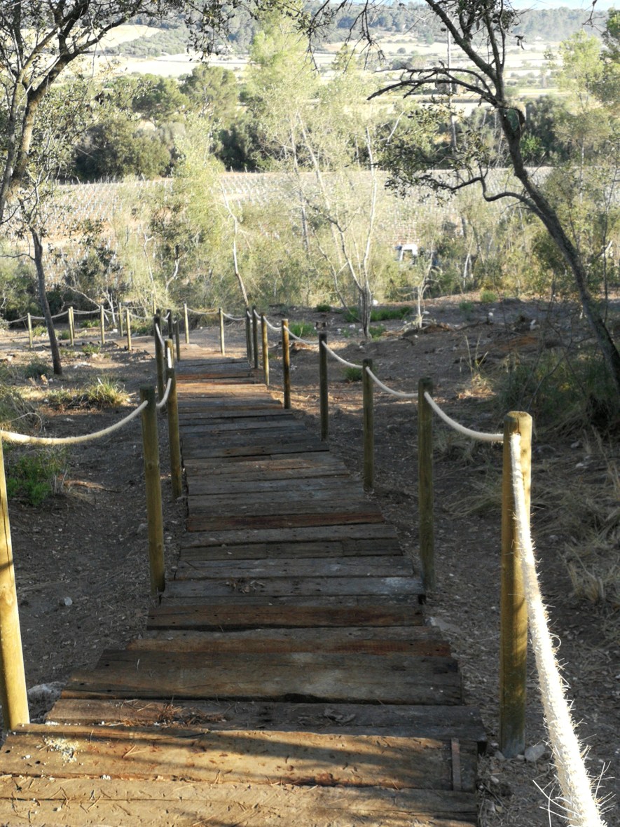 Walking/running route Finca Serena