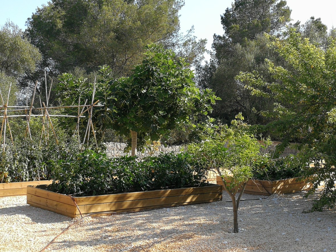 The produce garden Finca Serena