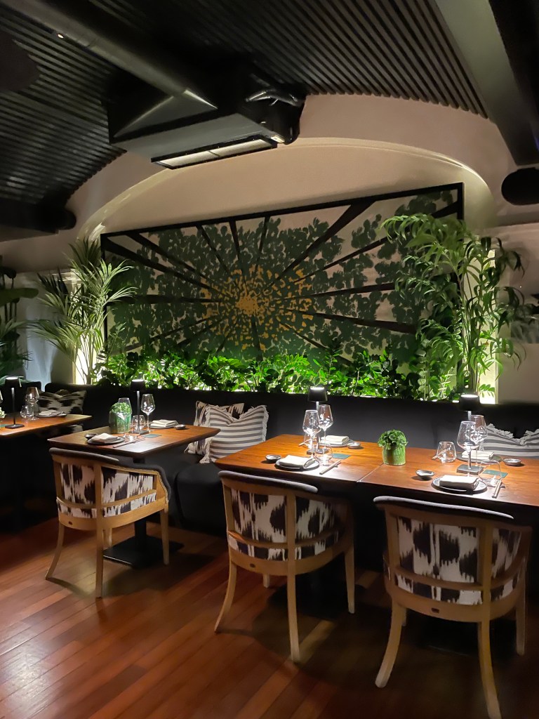 Yara, Puerto Portals